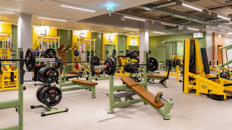 McFIT franczyza – krok w stronę globalnej ekspansji