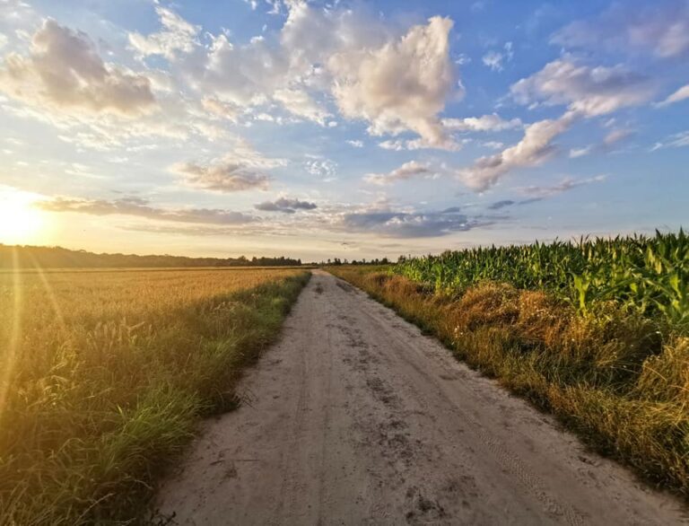 Dokąd zmierza polska branża fitness?